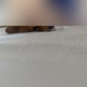 Meet your Posher, Ari